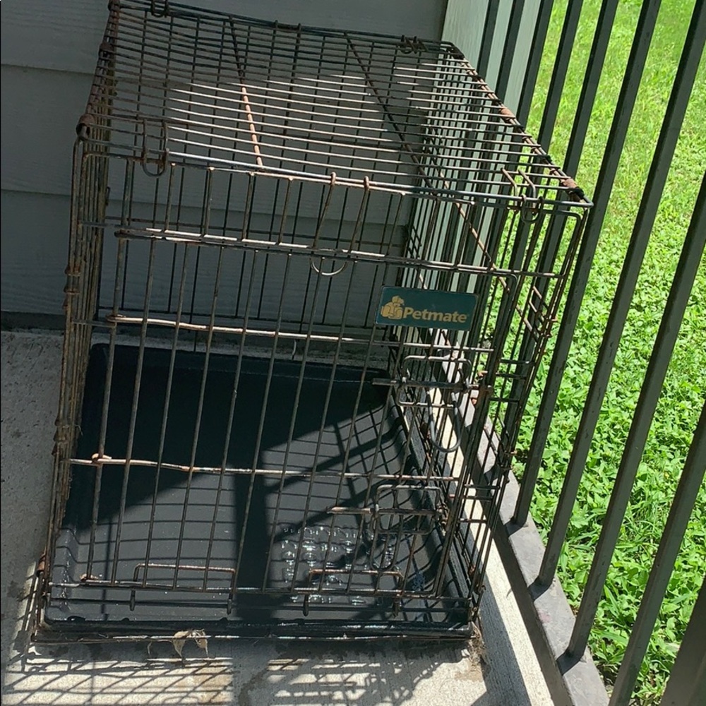 Dog kennel
